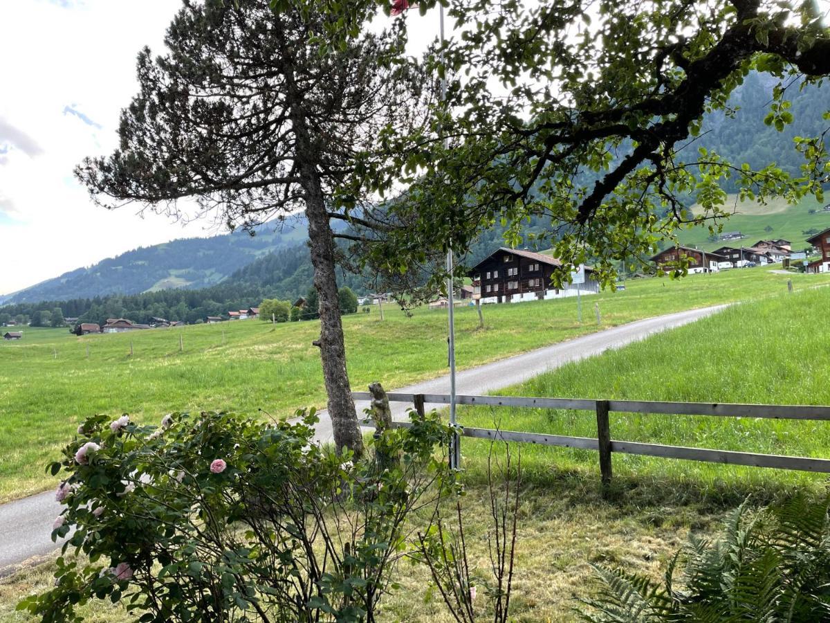 Edelweiss 4 Zi Ferienwohnung In Landhaus 프루티겐 외부 사진